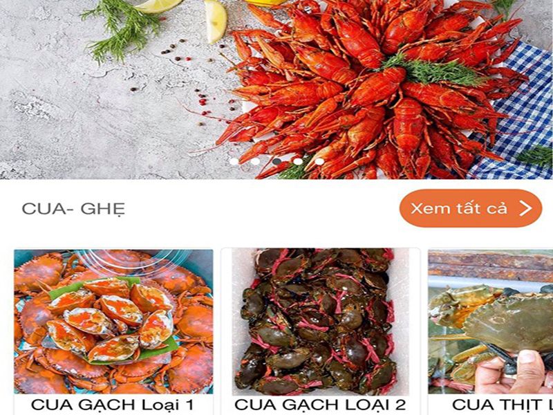 Thiết kế app bán hàng cho công ty hải sản việt