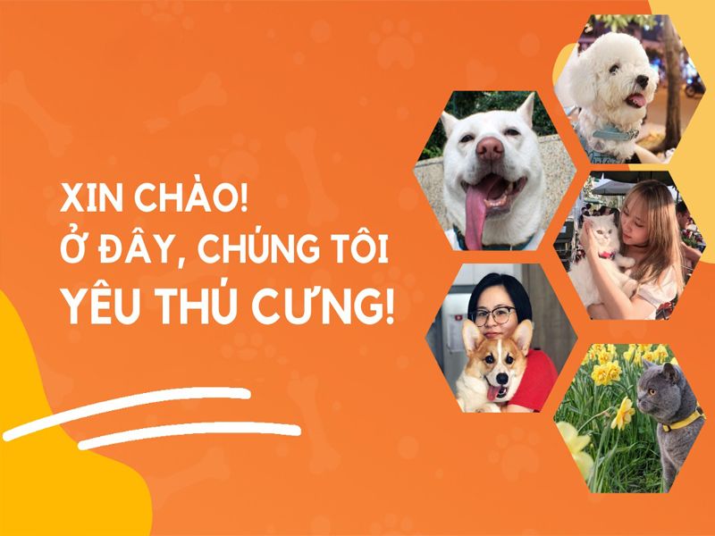 Viết app bán hàng online cho cửa hàng kinh doanh thú cưng